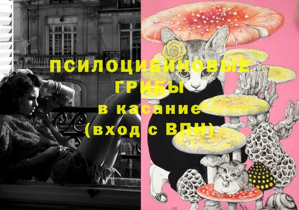 тгк Аркадак
